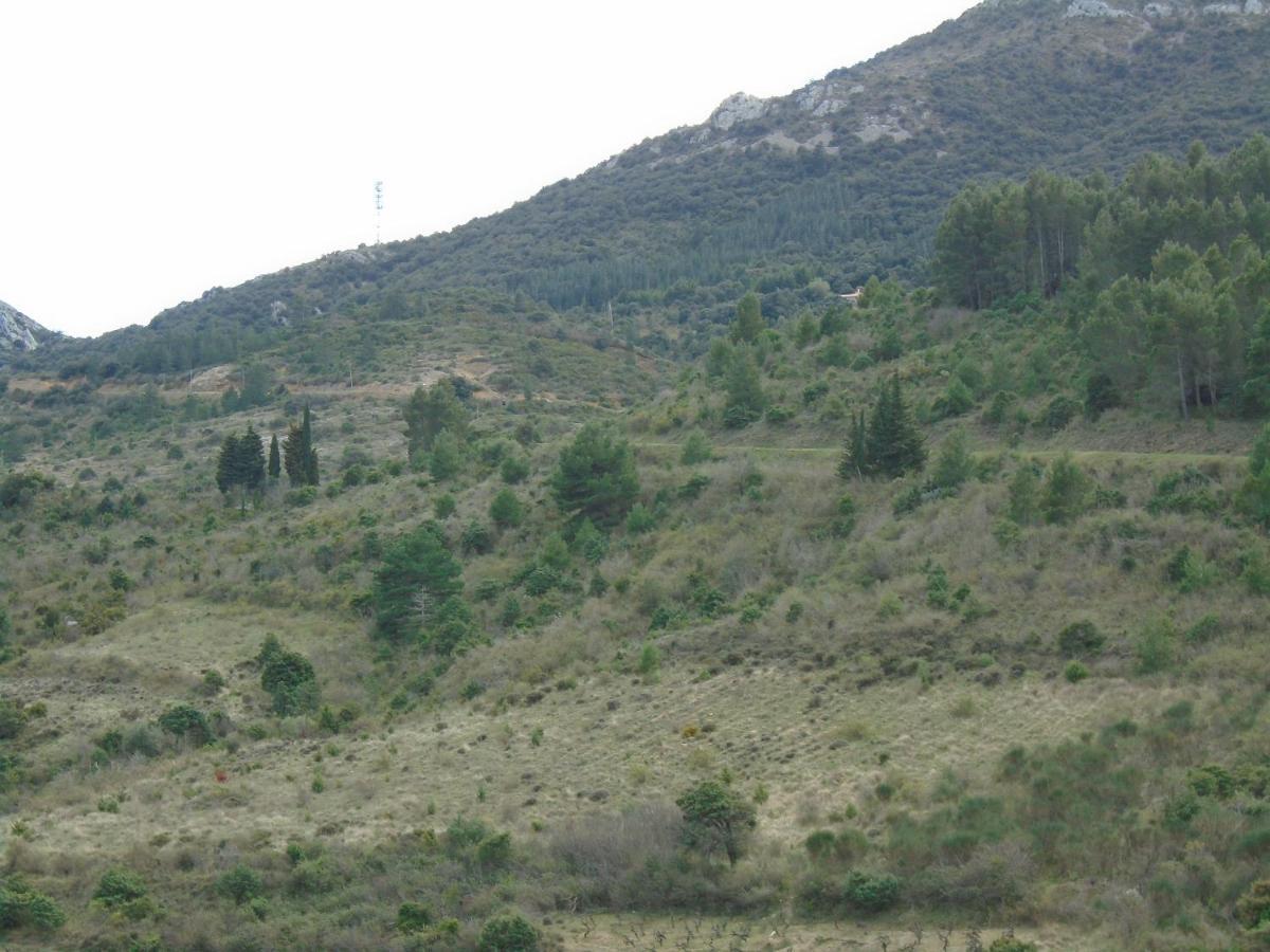Gite La Tramontane Villa Cucugnan Buitenkant foto